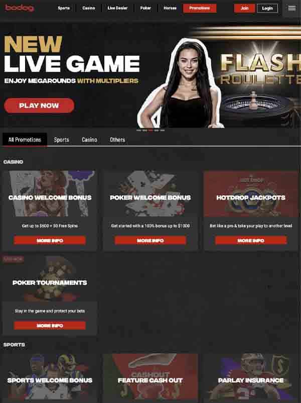 Bodog-ss